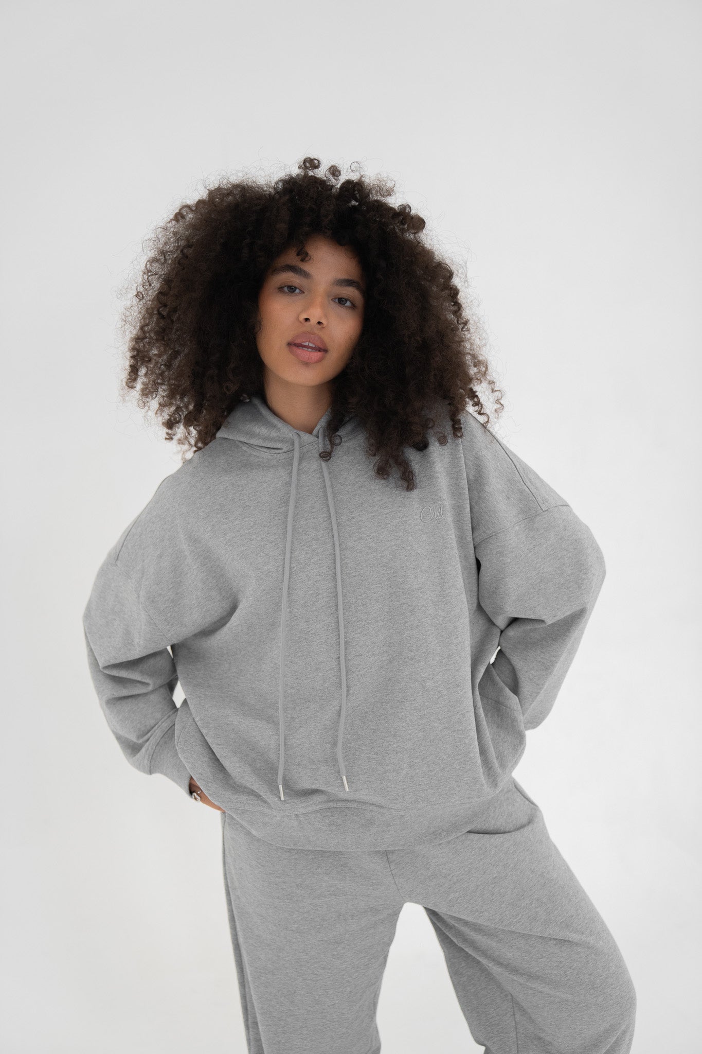 Le Hoodie Gris